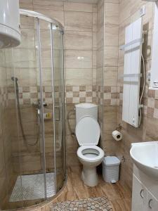 een badkamer met een douche, een toilet en een wastafel bij Ivana apartman in Vrnjačka Banja
