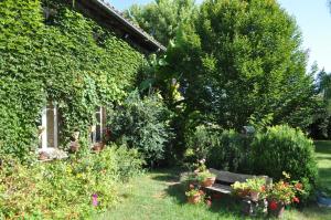 un jardín con un banco y algunas plantas y flores en Ferme Saint Joseph en Le Fousseret