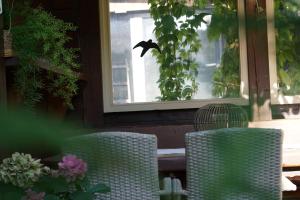 Vonkajšia záhrada v ubytovaní Landhaus Zirmhof