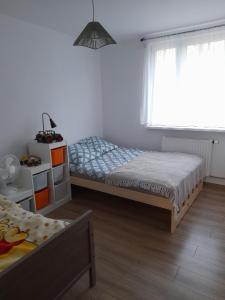 een slaapkamer met 2 bedden en een raam bij Agroturystyka Leśny Oddech Bory Tucholskie in Bysław