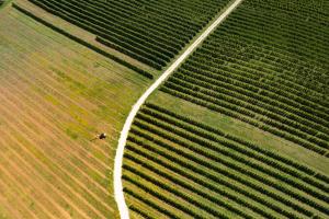 una vista aerea di un campo con una persona in esso di Agriturismo S.Angelo a Foiano della Chiana