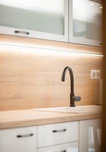 Kúpeľňa v ubytovaní Jégmadár & Fekete Gólya Apartmanok
