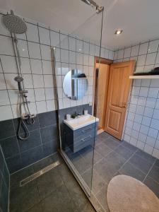 a bathroom with a shower and a sink and a mirror at Apartment Kurši in Kolka