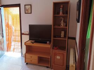 a living room with a tv and a book shelf at El Olivar in La Adrada
