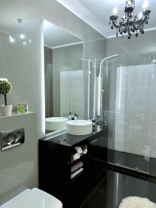 a bathroom with a sink and a toilet and a mirror at Luxurious Accommodation in Floreşti
