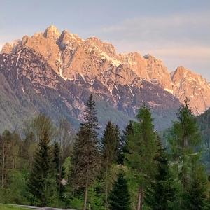 eine Bergkette mit Bäumen davor in der Unterkunft APARTMA 27 in Kranjska Gora