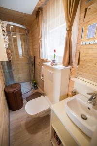 a bathroom with a shower and a toilet and a sink at Glamping Krone Kolpa Heaven in Adlešiči