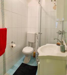 ein weißes Bad mit einem WC und einem Waschbecken in der Unterkunft In the center & nice & quiet in Pula