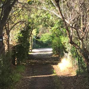 Gallery image of Imagine. McGregor in McGregor