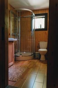 a bathroom with a shower and a toilet at Nad Lipcykiem in Nowy Gaj +59 photos