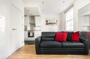 a living room with a black couch with red pillows at stylish flat in heart of London in London