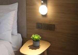 a small table with a plant on it next to a bed at The Brunei Hotel in Bandar Seri Begawan