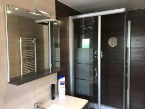 La salle de bains est pourvue d'une douche, d'un lavabo et d'un miroir. dans l'établissement Appartement atypique proche theatre place ducale, à Charleville-Mézières