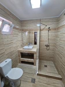 a bathroom with a shower and a toilet and a sink at Pensiunea Diamond in Eforie Nord