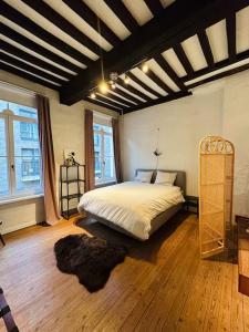 1 dormitorio con 1 cama grande en una habitación en Charmante woning in city center, en Amberes