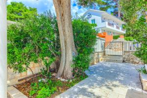 Gallery image of Luxury beach in Ivan Dolac +93 photos