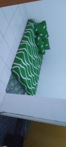 two green and white ties sitting on a shelf at Ghalbyana in Mancagahar