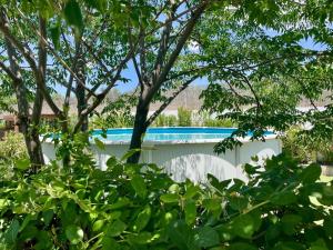 a swimming pool in a yard with trees at Boutique Teepee Sleeps 2 with Pool in Zújar +26 photos