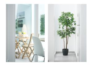 a living room with a table and a potted plant at Karma Famara 2 25m del mar in Famara