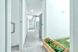 a hallway of a house with plants on the floor at Karma Famara 2 25m del mar in Famara