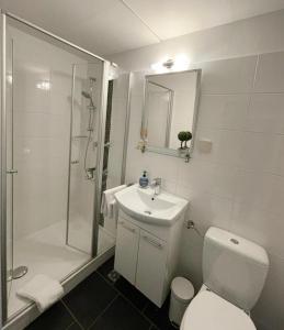 a bathroom with a toilet and a shower and a sink at Appartement Anne in Hahnenklee-Bockswiese
