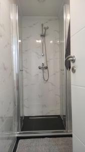 bagno con doccia e porta in vetro di TERÉZ 5bedroom Central Apartment with AC a Budapest