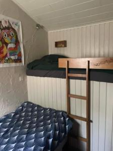 een slaapkamer met 2 stapelbedden en een ladder bij Le petit Rabais in Virton