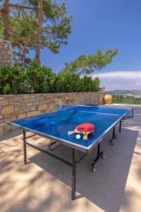 a ping pong table with a toy turtle on it at Aegean View Estate - Villa in Faliraki