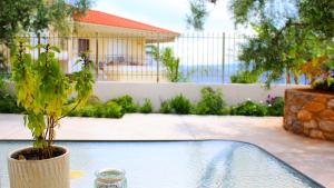 a plant in a vase sitting on a table at SUNSET Luxury Accommodation in Verga Kalamata
