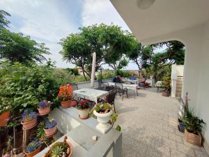 Zahrada ubytování Bed & Breakfast Josip
