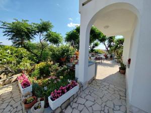 Zahrada ubytování Bed & Breakfast Josip