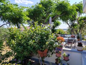 Zahrada ubytování Bed & Breakfast Josip