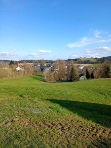 a large field of green grass with a city in the background at Wohnung Erika in Presseck