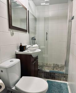 a bathroom with a toilet and a sink and a shower at Mieszkanie Jelonek 3-pokojowy in Zakopane