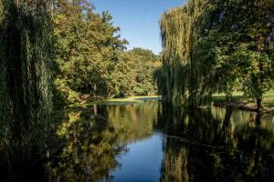 a view of a river with weeping willows and trees at Hotel Restaurant De Keurvorst in Ravenstein