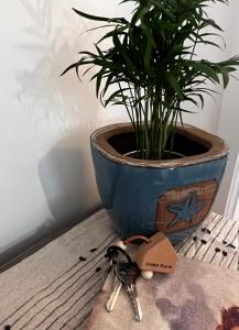 Foto dalla galleria di Casa Dora ad Anacapri