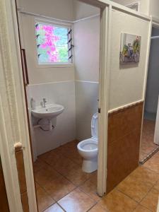 La salle de bains est pourvue de toilettes, d'un lavabo et d'une fenêtre. dans l'établissement Emile Youth Hostel, à Gibraltar