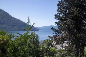 vistas a un lago con montañas en el fondo en Lake Blues, en Brissago