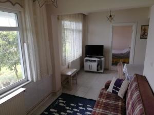 ein Wohnzimmer mit einem Sofa und einem TV in der Unterkunft Sakin ev Cittaslow Sea Inn in Perşembe