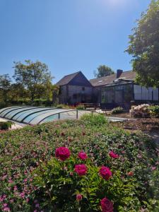 einen Garten mit rosa Blumen vor einem Gebäude in der Unterkunft Habitat in Momignies