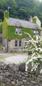 uma casa de pedra com hera a crescer nela em Enchanting Cottage for 4- Witchnest in Derbyshire, with EV point em Bonsall