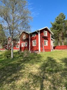 a red house with a tree in a field at Annexet Orrabackens in Järvsö