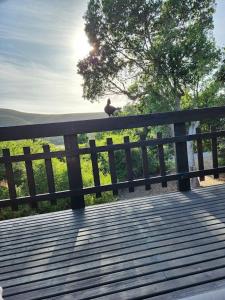 un uccello seduto su una recinzione di Nature's Edge Cabin a Natureʼs Valley