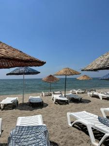 a group of chairs and umbrellas on a beach at Deniz Hotel in Büyükçekmece