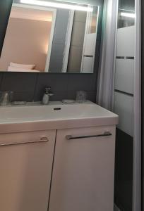 巴黎的住宿－競技場酒店，浴室设有白色水槽和镜子