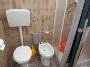 a small bathroom with a toilet and a shower at Pergola in Matino