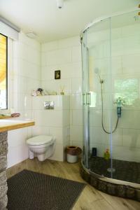 a bathroom with a toilet and a glass shower at Leśny kącik 