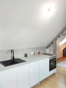 una cucina bianca con lavandino e piano cottura di Da Vinci - Studio Charmant a Amboise