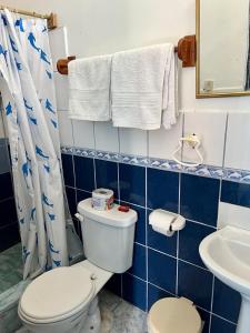 a blue and white bathroom with a toilet and a sink at Hostal Villamil in Puerto Villamil