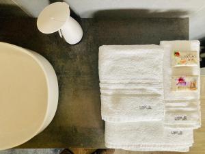 un bagno con due asciugamani su un bancone e un lavandino di UPLÈ family bike apartment a Lecce